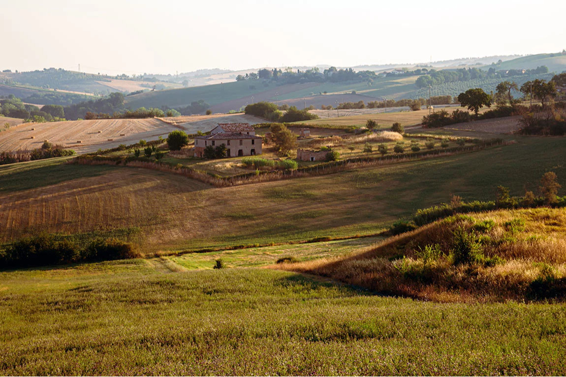 media.passodelgrillo