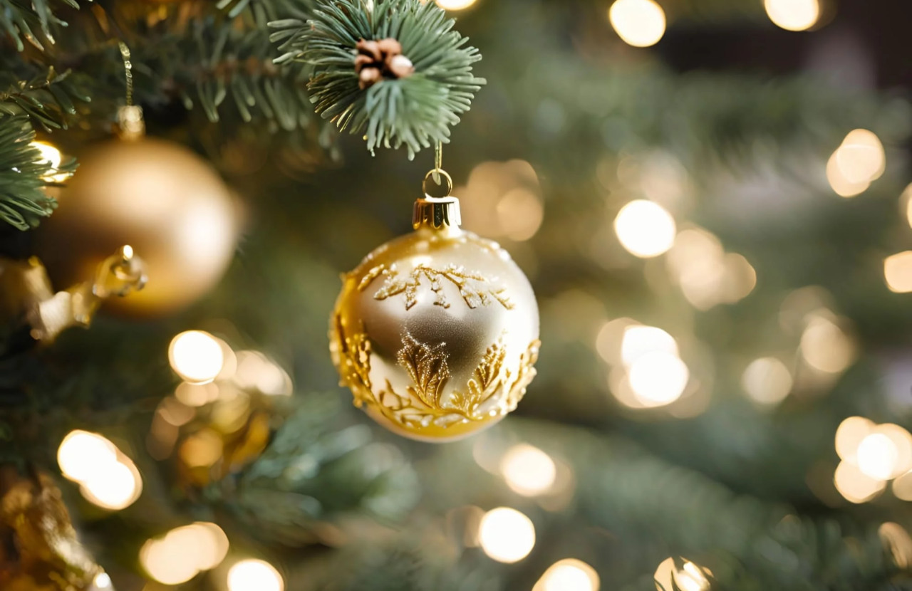 media.offerta-natale-riccione-hotel-sarti-riccione