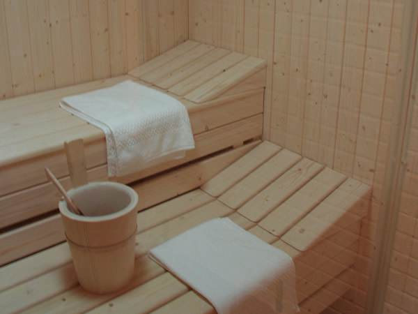 1sauna